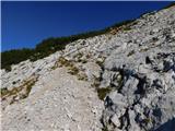 Robanov kot - Veliki vrh (Veža)