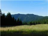 Javorje (Mala Črna) - Smrekovec