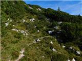 Lučka Bela (Za Loncem) - Kocbekov dom na Korošici