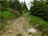 Glashütten (Gasthof Almwirt) - Glashüttenkogel