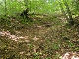 Dragonoš - Zečak