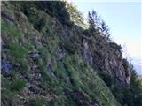 From the gully right across the neighboring gully...