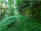 Lovrenc na Pohorju - Dolina Radoljne (Pruh)