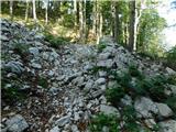 Bevški vrh - Veliki Modrasovec