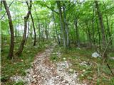 Planina Polog - Izvir Tolminke