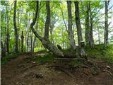 Potoška gora, na nobenem vrhu ni žiga
