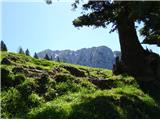 2025.05.31.161 pogled na gore