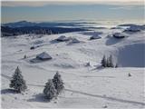 torej obdobje beline na planini