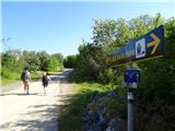 Camino Krk sledi vzpon do vasi Brzac