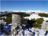 2025.02.04.68 roža gora na Gradišču