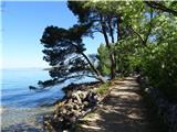 Camino Krk zagotovo najlepši del