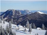 Gojška planina, Rogatec in Lepenatka ter zadaj Golte