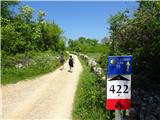 Camino Krk proti ...