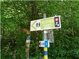 Camino Krk nato pot vodi do