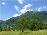 začetek grebena iz Loga Čezsoškega do V. Polovnika in Vrh Travnika