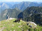 Cuel de la Bareta, Jof di Dogna, Cima Robinia