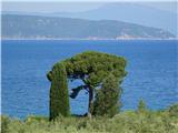 Camino Krk utrinek