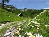2025.06.04.211 alpska velesa