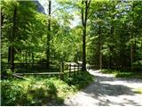 2025.05.31.184 v dolini