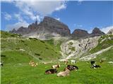 domačinke in Monte Paterno