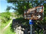 Camino Krk še malo do konca tretje etape