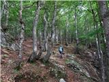 Predelske glave 1618 m (Cima Predil) in Vrh Laštanovca 1660 m skozi prijeten gozd, kjer se pot malo izgubi, a ni panike