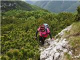 Predelske glave 1618 m (Cima Predil) in Vrh Laštanovca 1660 m ko stopiš iz rušja