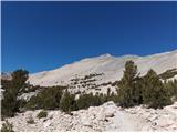 Mount Gould 3964m 