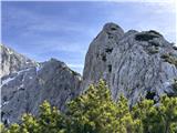 Pogled nazaj