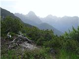 Predelske glave 1618 m (Cima Predil) in Vrh Laštanovca 1660 m tu naletiš na ploščico Cima Predil in zaviješ levo