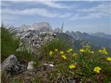 Predelske glave 1618 m (Cima Predil) in Vrh Laštanovca 1660 m lepo, ni kaj