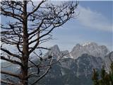 Predelske glave 1618 m (Cima Predil) in Vrh Laštanovca 1660 m 