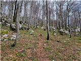Vela Vrata - Velika Javornica