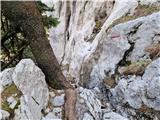 Vela Vrata - Planinska koča Dragutin Hirc