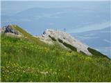 2024.06.29.159 trata in avstrijski križ na Kepi