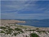 pogled nazaj