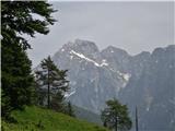 Predelske glave 1618 m (Cima Predil) in Vrh Laštanovca 1660 m Jalovec