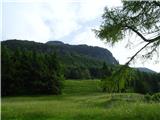 Predelske glave 1618 m (Cima Predil) in Vrh Laštanovca 1660 m čez travnik na slovenski strani 