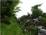 Predelske glave 1618 m (Cima Predil) in Vrh Laštanovca 1660 m naprej po lovski poti