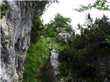 Predelske glave 1618 m (Cima Predil) in Vrh Laštanovca 1660 m 