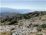 Kosmadei - Vigla (Kerkis) (Samos)