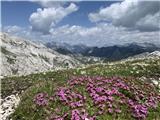 Planina Zaslap - Koča pod Bogatinom