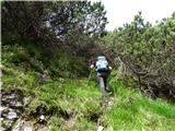 Predelske glave 1618 m (Cima Predil) in Vrh Laštanovca 1660 m tu sva krenila