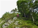 Predelske glave 1618 m (Cima Predil) in Vrh Laštanovca 1660 m po lepem grebenu gor